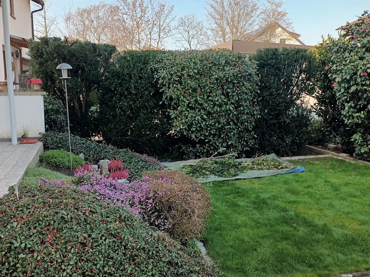 Staudenbeet vor geschnittener Hecke — Gartenprofi 2010