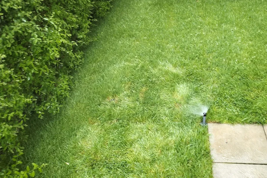 Bewässerung im Garten — Gartenprofi 2010